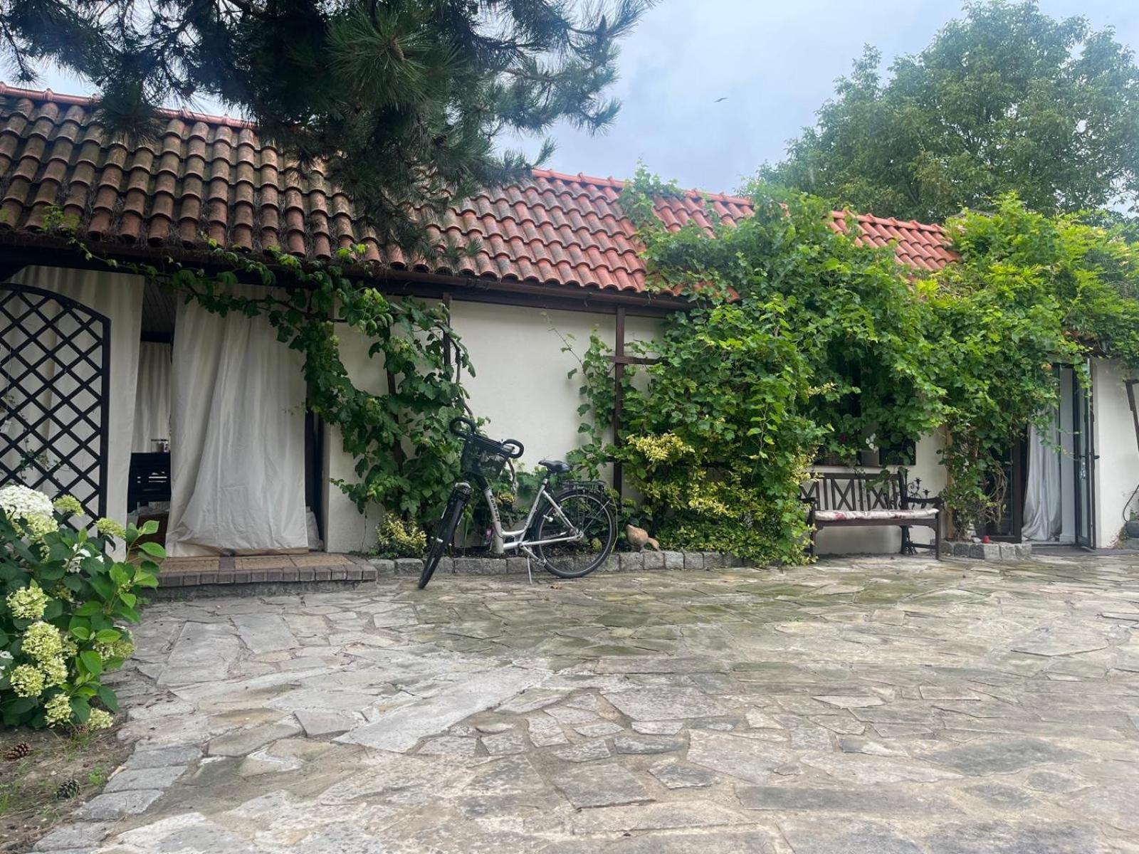Domek Wakacyjny Lubin  Εξωτερικό φωτογραφία